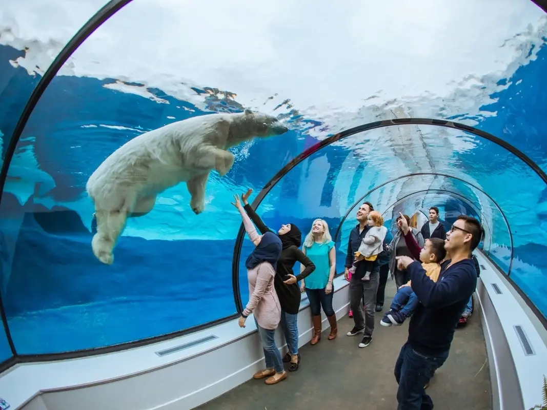 The Detroit Zoo